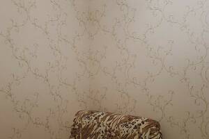 Изображение Изображение гостиницы "Гостиница «Аннушка»" #6 #6