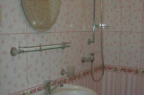 Двухместный номер «Полулюкс» (Розовые розы)