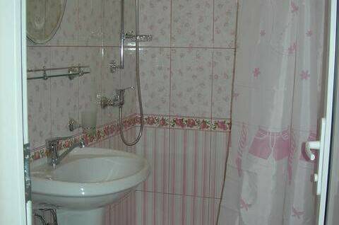 Двухместный номер «Полулюкс» (Розовые розы)