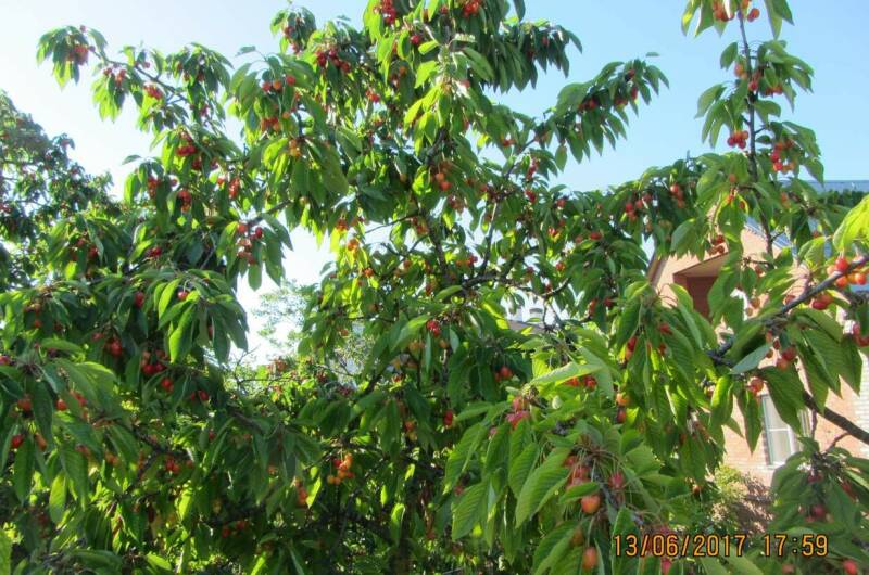 Двухэтажный котедж для 4х человек