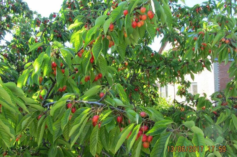 Двухкомнатный номер на втором этаже на 3х человек