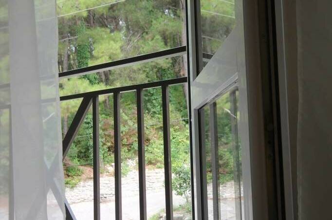 С окнами на сосновый бор