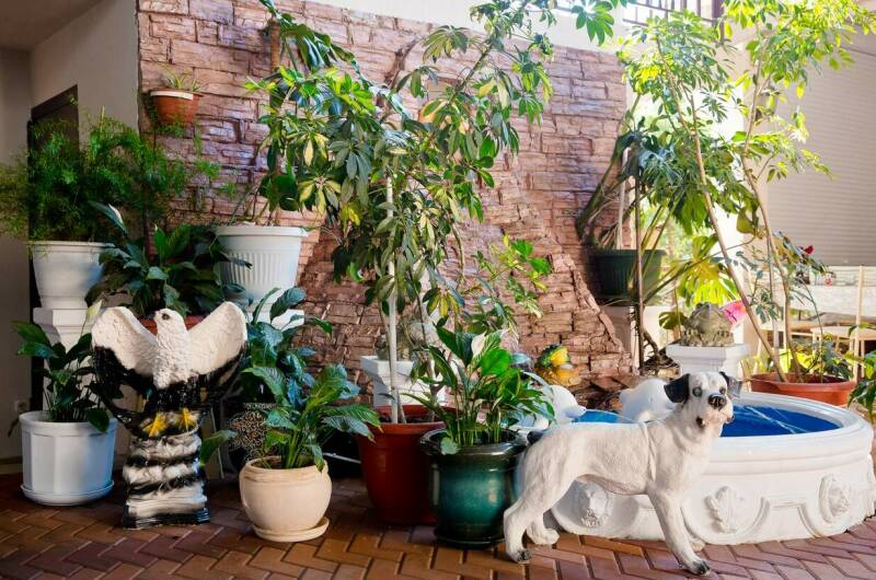 3-х местный «Стандарт» без балкона