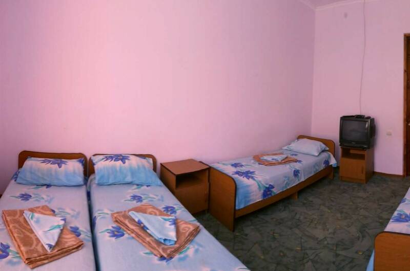 4- х местный эконом с кондиционером и телевизором