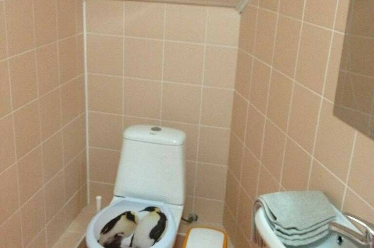 2-х местный «Комфорт» (8)