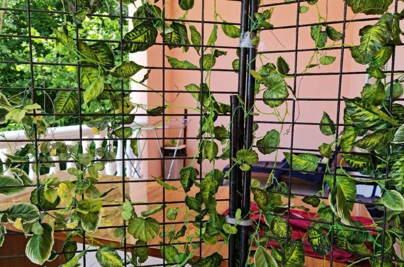 Четырехместный номер с удобствами, номер 7