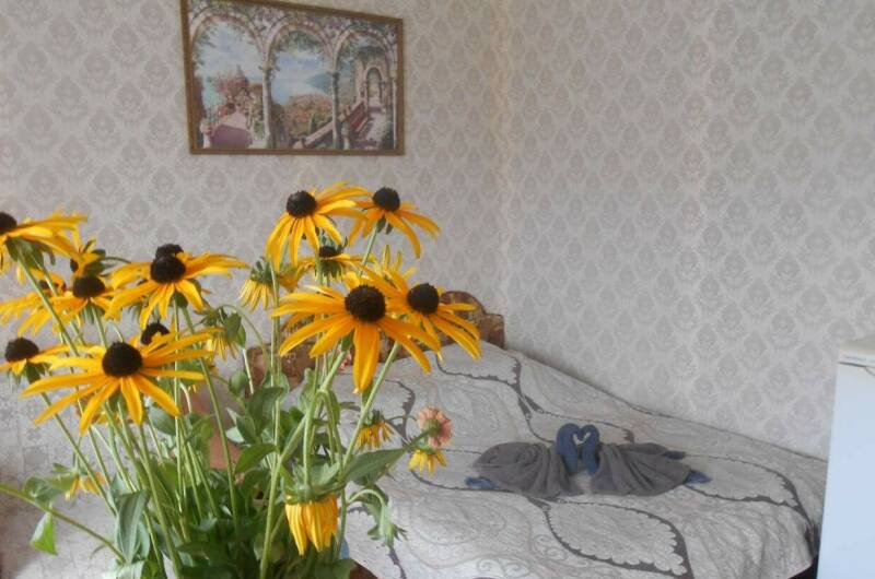 «Люкс» № 4