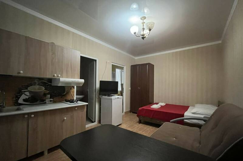 Студия с кухней до 4-х человек