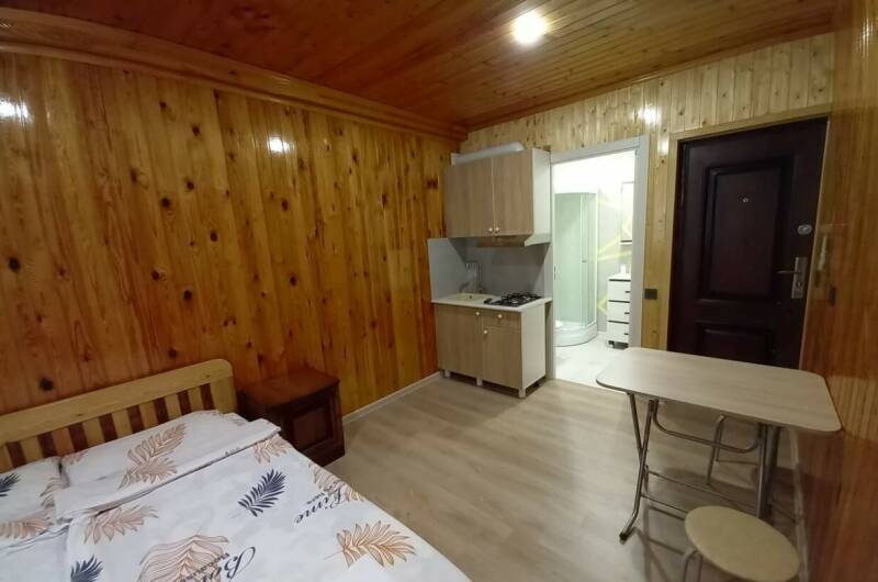 Студия с кухней для двоих