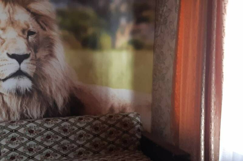 2-х комнатная студия с кухней