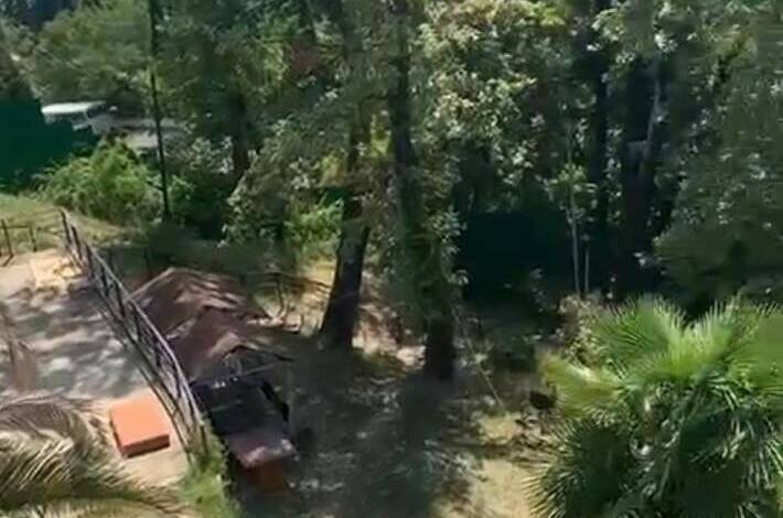 Номер-студия