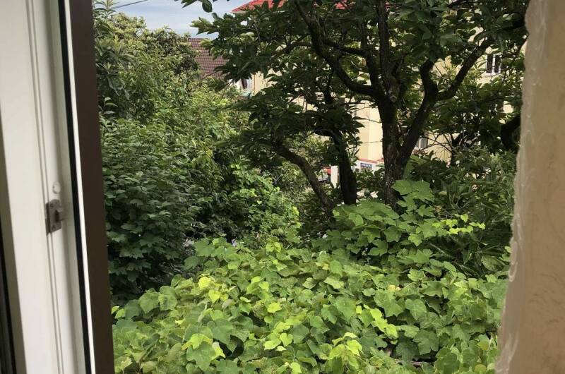 #10 трёхместный номер