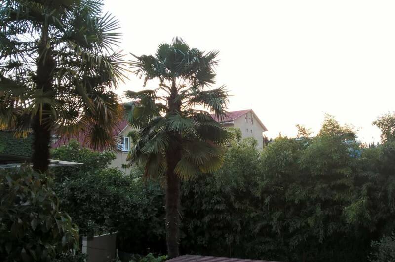 2-х местный номер «Люкс» (10), корпус Сабрина