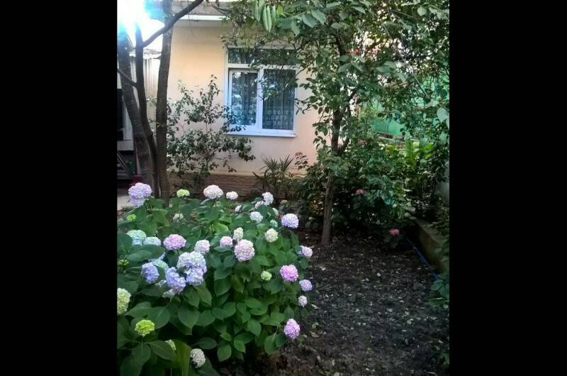 Коттедж 3-х местный, корпус Сабрина