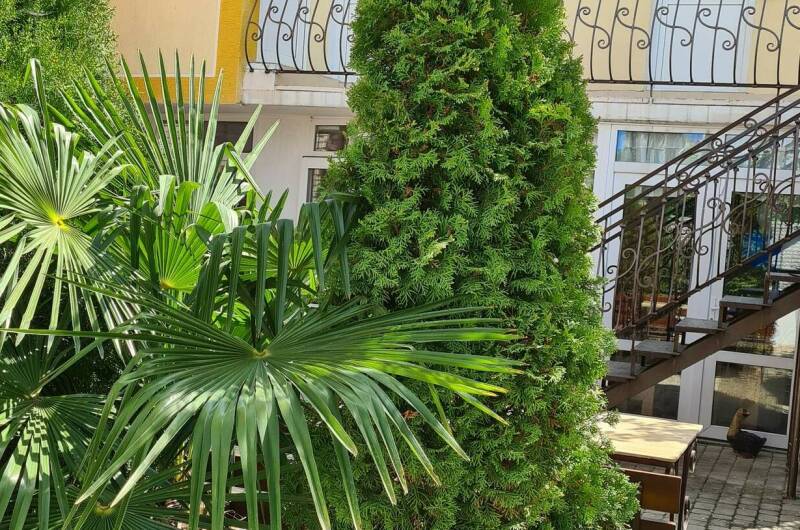 3 местный «Люкс» на 2 этаже