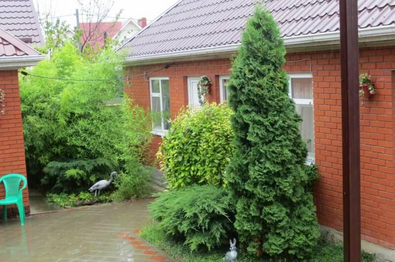 4−3 местный