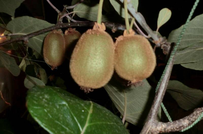 Двухместный 2-й этаж сплит система