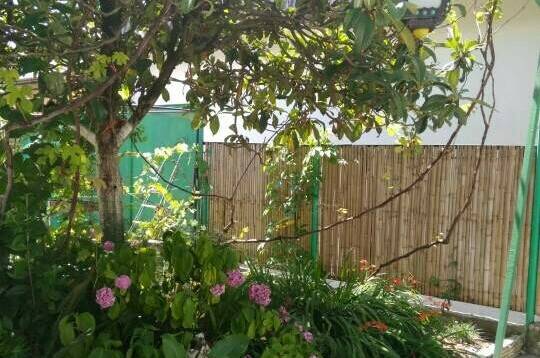 3-х местный «Эконом»