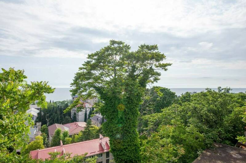 Лавандовый полулюкс