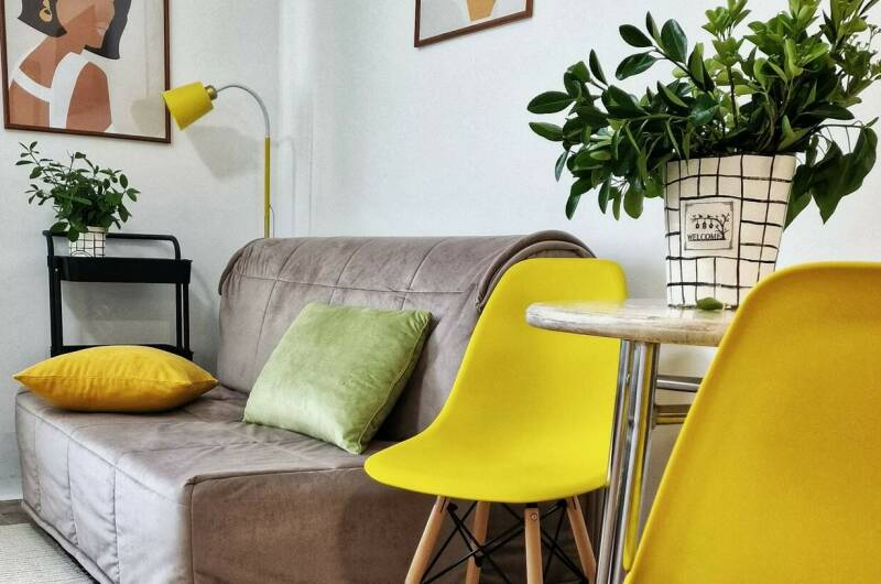 Студия 26 кв зеленая