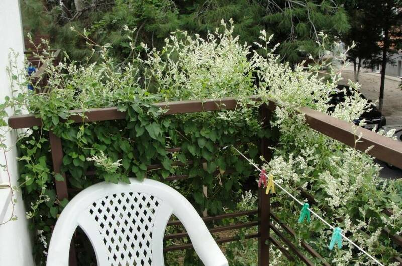 № 1 Двухместный номер с удобствами и балконом