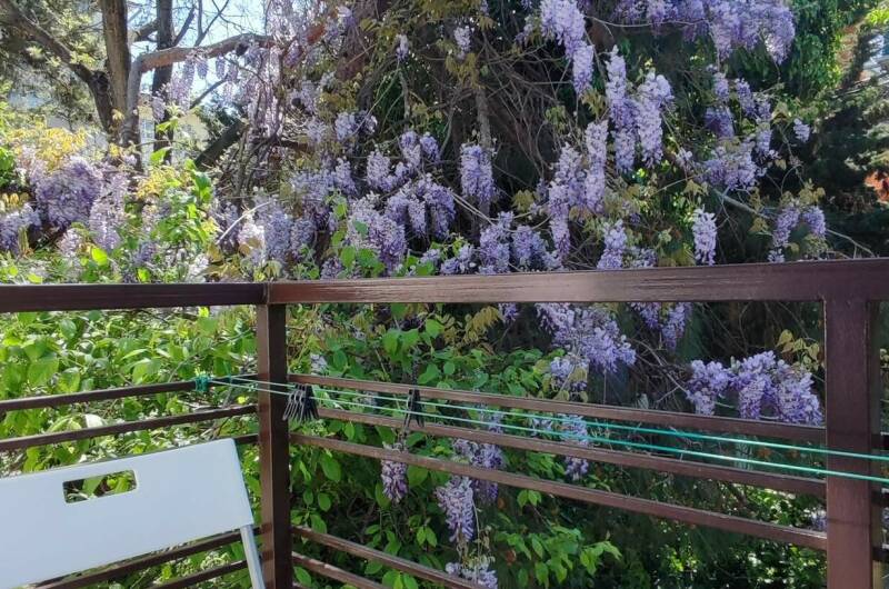 № 3 Двухместный номер с удобствами и балконом