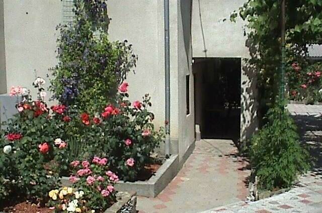 Комфорт 3х мест. с кухней (1-й эт)