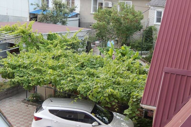 Комфрт 2х мест (2-й эт) кухня общая