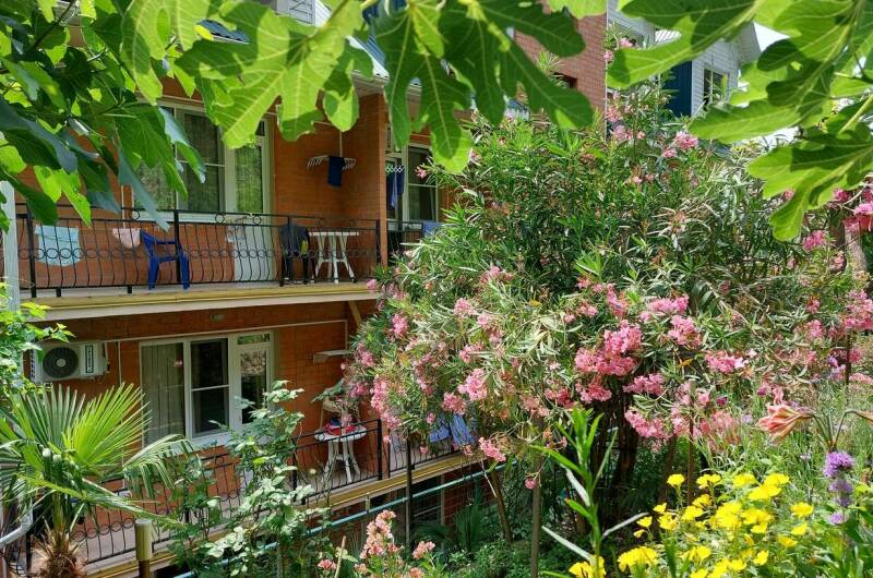 Номер «Стандарт 1+»