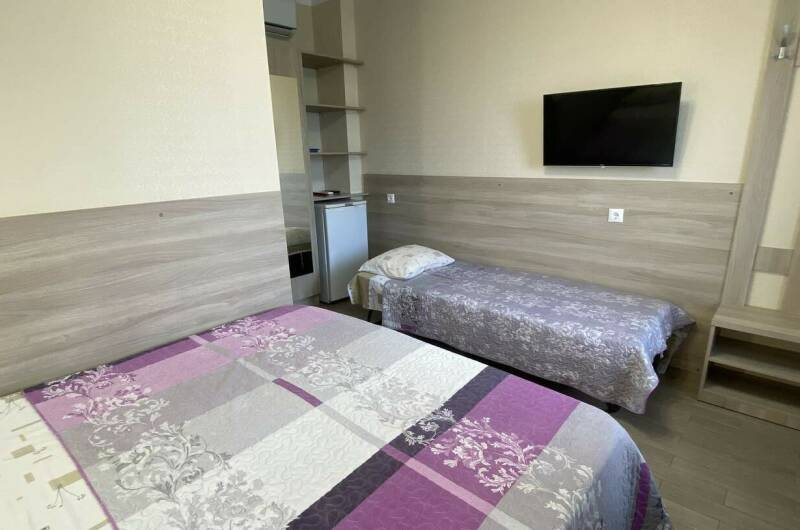 Стандарт 2+1