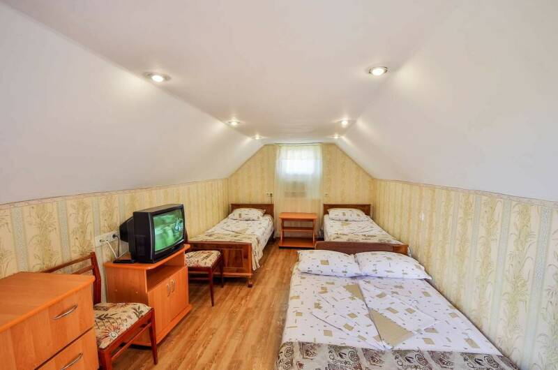 Четырехместный мансардный эконом