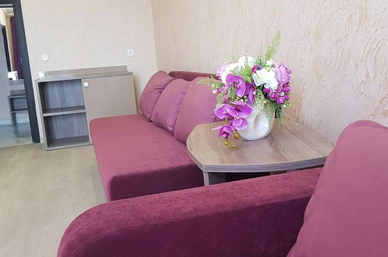 Двухкомнатные апартаменты «Люкс»