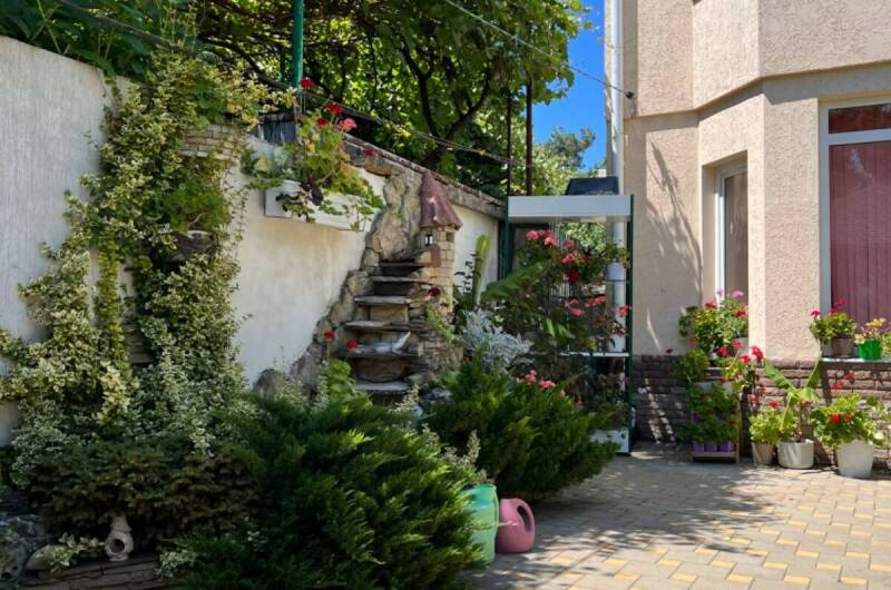 Номер 8 (стандарт)