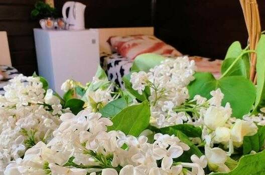 Финский домик 3-х местный