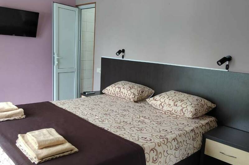 Номер 1 «Протея»