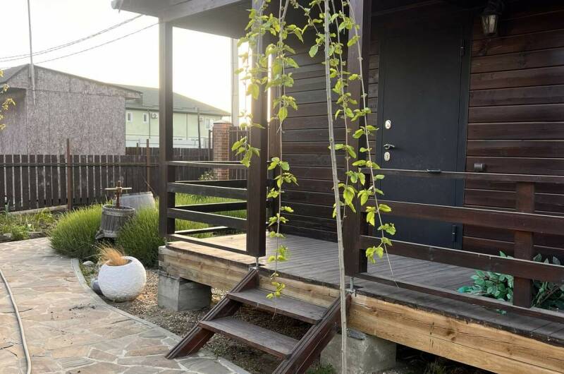 Шестиместный двухэтажный дом