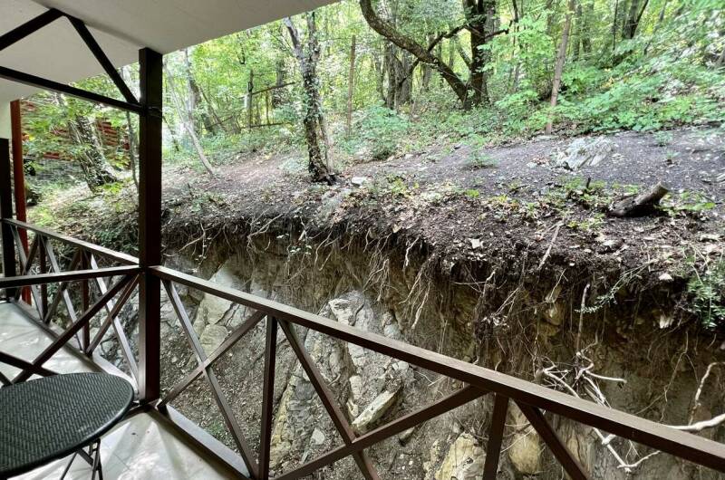 «Премиум» с видом на лес и балконом