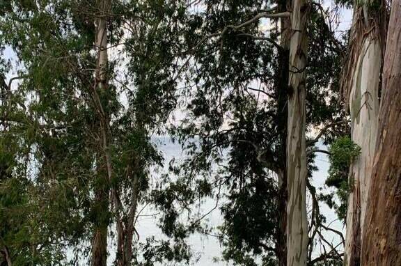 2-х местный «Люкс»