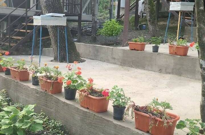 Деревянный сруб двухкомнатный