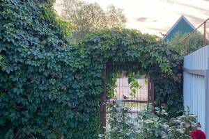 Изображение Изображение гостиницы "Гостевой дом «Андреевский»" #1 #1