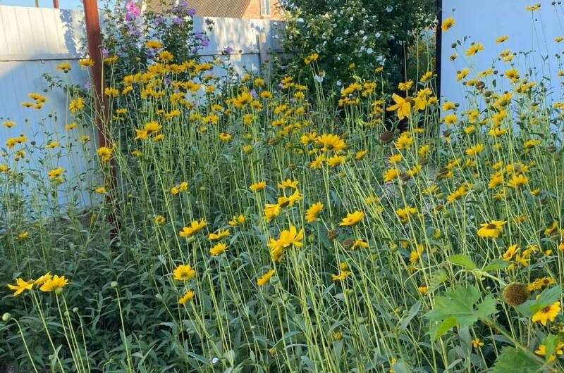 № 3 коттедж «Итальянский»