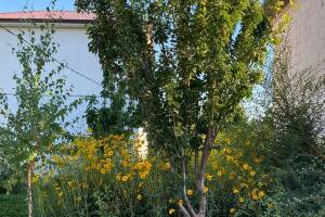 Изображение Изображение гостиницы "Гостевой дом «Андреевский»" #3 #3