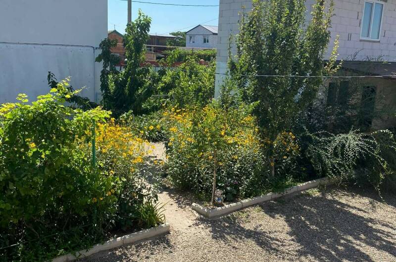 № 5 «Гостевой-1»