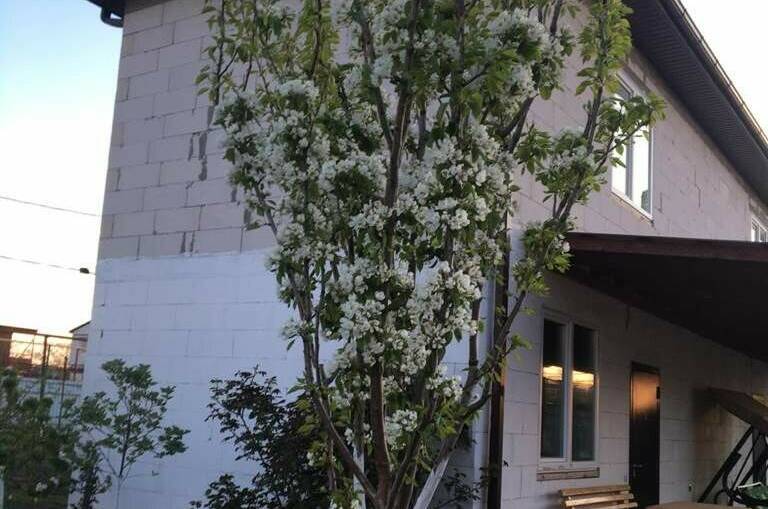 № 5 «Гостевой-1»