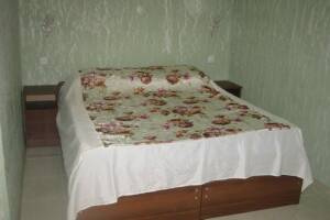 Изображение Изображение гостиницы "Гостевой дом «Almaz»" #1 #1