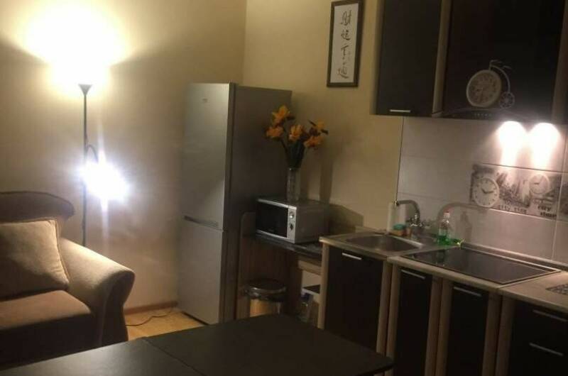 Студия с кухней