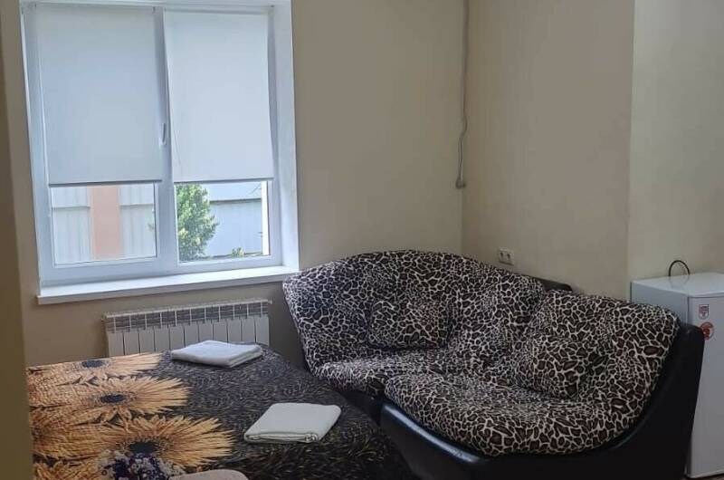 Однокомнатные апартаменты с кухней