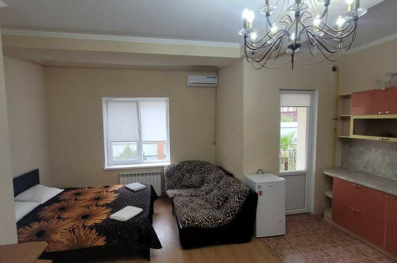 Однокомнатные апартаменты с кухней