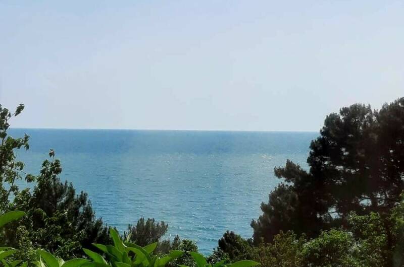 Люкс 2+1+1 без балкона