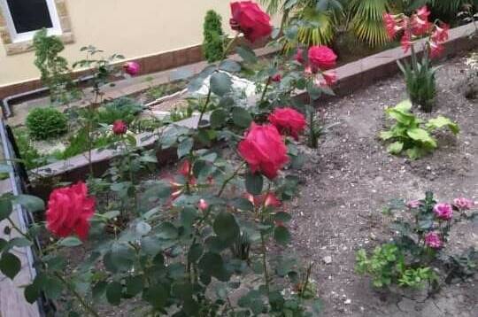 Двухместный номер